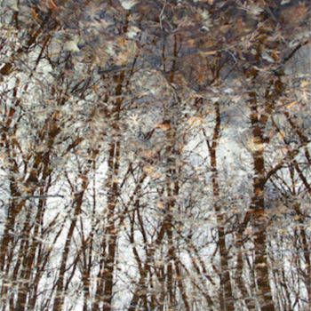 摄影 标题为“NATURALLY SURREAL V…” 由Curtis H. Jones, 原创艺术品, 数码摄影