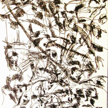 「Don-quixote-iii」というタイトルの描画 Peter Jaleshによって, オリジナルのアートワーク, インク