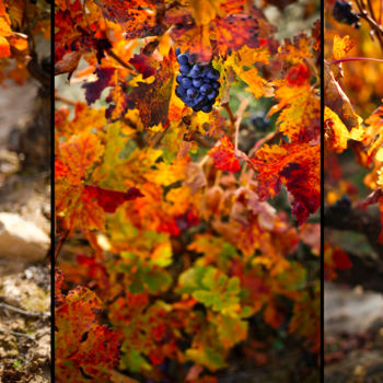 Photography titled "AUTUMN TRIPTYCH 001…" by Gabriel Caneda, Original Artwork, Digital Photography Mounted on Aluminium