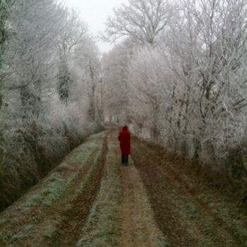 Photography titled "Matin de givre" by Jean Barace, Original Artwork