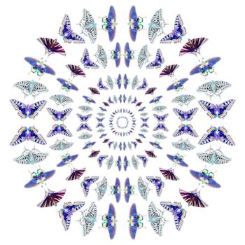 Digital Arts με τίτλο "Winged rings" από Sumit Ratta, Αυθεντικά έργα τέχνης