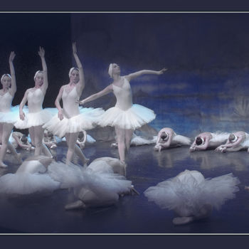 Photography titled "Le Lac des cygnes" by Michel Guillaumeau, Original Artwork
