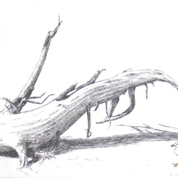 Dessin intitulée "Flânerie" par Pierre Fabry, Œuvre d'art originale, Encre