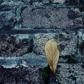 Photographie intitulée "Lost in a Lost World" par Martin Vallis, Œuvre d'art originale, Photographie numérique