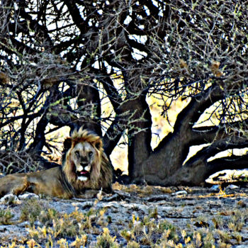 Fotografía titulada "NAMIBIE 8" por Denis Poutet, Obra de arte original