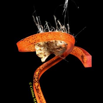 Sculpture intitulée "Yingde" par Cristina Marquès, Œuvre d'art originale, Plastique