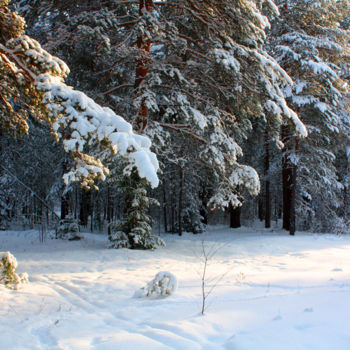 Photography titled "Winter Evening in t…" by Sergei Smv, Original Artwork