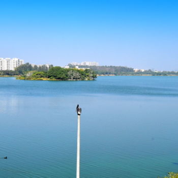 Photography titled "Bangalore Lakes!" by Goutam Chakraborty, Original Artwork
