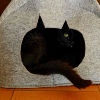 Photography titled "Un petit chez soi v…" by Geneviève Baud Caizergues, Original Artwork