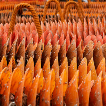 Φωτογραφία με τίτλο "Orange sea.jpg" από Elisabeth Laplante, Αυθεντικά έργα τέχνης, Ψηφιακή φωτογραφία