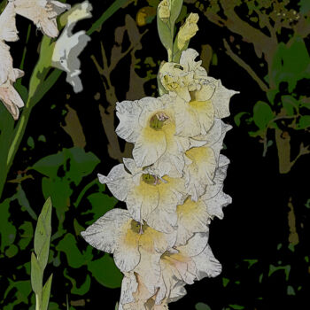 Photographie intitulée "glaïeuls - photo st…" par Guylaine Bisson (GuyL'ART), Œuvre d'art originale, Photographie numérique