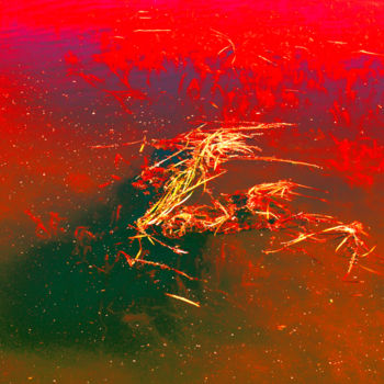Photographie intitulée "Galop galactique" par Elise Vincent, Œuvre d'art originale, Photographie numérique Monté sur Carton
