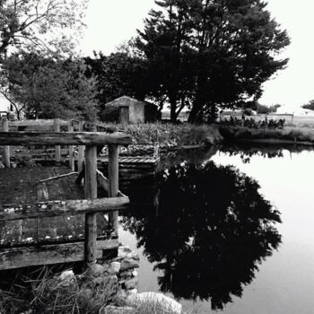 "fb-img-155225549504…" başlıklı Fotoğraf Eric Vadé tarafından, Orijinal sanat