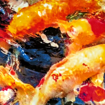 "Swirling Koi" başlıklı Tablo Lelia tarafından, Orijinal sanat, Suluboya