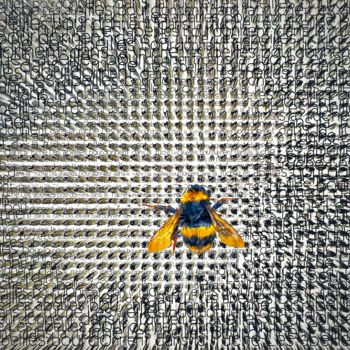 Arts numériques intitulée "LE BOURDON VOLE ..." par Blaise Lavenex, Œuvre d'art originale, Photo montage