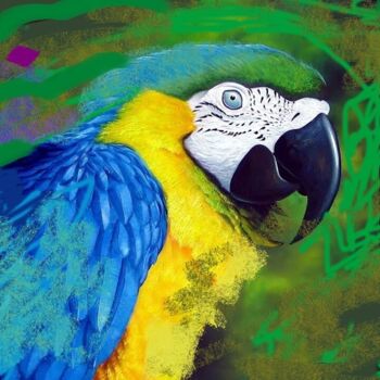 Digitale Kunst getiteld "Fauna Brasileira" door Aline De Melo, Origineel Kunstwerk, Digitaal Schilderwerk