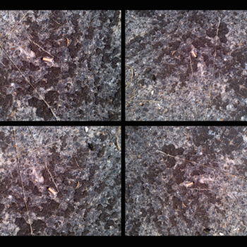 Photography titled "Four Quartets" by Gerald Shepherd F.F.P.S., Original Artwork, Digital Photography