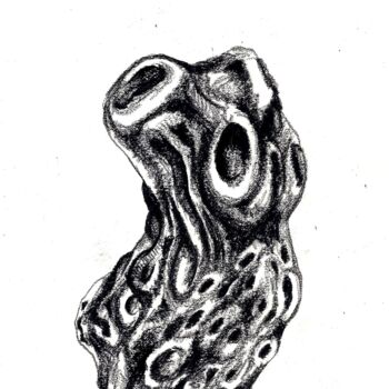 Zeichnungen mit dem Titel "Trogne 6" von Edith Bos Boyer (EDITH DONC), Original-Kunstwerk, Kohle