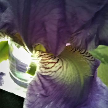 Photography titled "coeur-iris3.jpg" by Allosiette, Original Artwork
