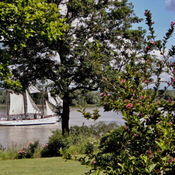Photography titled "Armada, le " Marité…" by Pierre-Yves Rospabé, Original Artwork, Digital Photography
