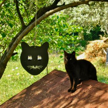 Photographie intitulée "Comme un air de fam…" par Geneviève Baud Caizergues, Œuvre d'art originale