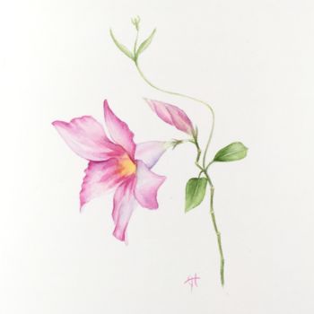 Painting titled "Dipladenia" by Liz Hansen, Original Artwork, Watercolor