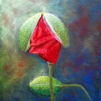 Painting titled "Coquelicot et son c…" by Marian Cobos, Original Artwork, Pastel
