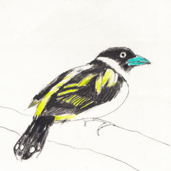 Drawing titled "Bird 3" by Fleur Elise Noble, Original Artwork, Pastel