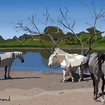 数字艺术 标题为“2019-07-04-camargue…” 由Michel Normand, 原创艺术品, 其他