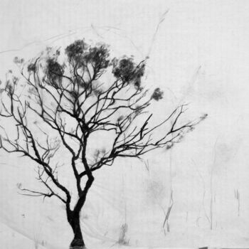 Σχέδιο με τίτλο "Tree Drawing 2" από Fleur Elise Noble, Αυθεντικά έργα τέχνης, Μολύβι