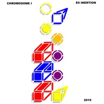 Arts numériques intitulée "chromosome I" par Etienne Frouin (E9 Inertion), Œuvre d'art originale, Travail numérique 2D