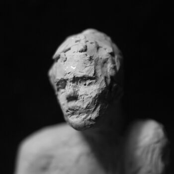 雕塑 标题为“Clay Face 67” 由Fleur Elise Noble, 原创艺术品, 兵马俑