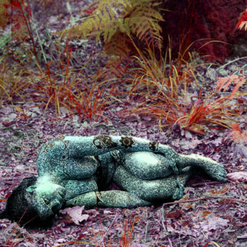 Photographie intitulée "CHOC 09" par Frédéric Didillon, Œuvre d'art originale, Photographie manipulée
