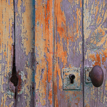 Photographie intitulée "DÉCLIN ? 96" par Frédéric Didillon, Œuvre d'art originale, Photographie non manipulée