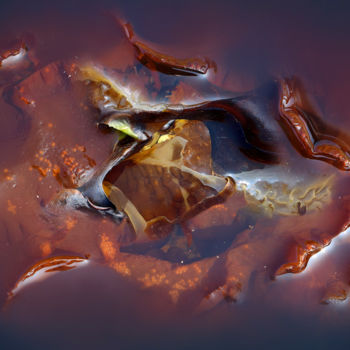 Photographie intitulée "Mélangées 0536-11 /…" par Sylvie Dessert (Syl), Œuvre d'art originale, Photographie manipulée