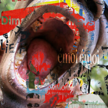 Photographie intitulée "L"ULTIMO GRIDO " (l…" par Borrel, Œuvre d'art originale, Photographie numérique Monté sur Carton