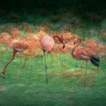 Fotografie mit dem Titel "Ghost #8" von Pierre Duquoc, Original-Kunstwerk, Digitale Fotografie