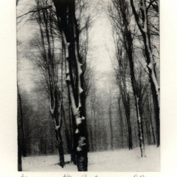 Gravures & estampes intitulée "After Whiteout" par Dermot Ryan, Œuvre d'art originale, Eau-forte