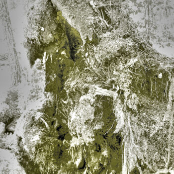 Arte digitale intitolato "Roots awake" da Przemek Kret, Opera d'arte originale, Pittura digitale
