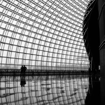 摄影 标题为“Inside the Dome (Fr…” 由Serge Horta, 原创艺术品, 数码摄影 安装在木板上