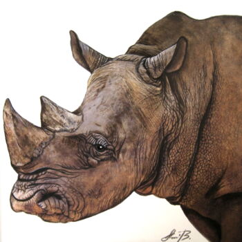 Malarstwo zatytułowany „Nashorn” autorstwa Anita Burnaz, Oryginalna praca, Akwarela