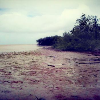 Photography titled "Amazonia" by Monique Anna Michel, Original Artwork, Non Manipulated Photography
