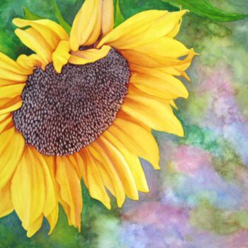 Painting titled "Sunflower" by Anita Burnaz, Original Artwork, Watercolor
