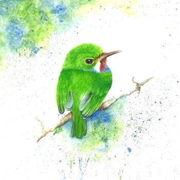 제목이 "Cuban Tody (Todus m…"인 미술작품 Anita Burnaz로, 원작, 수채화