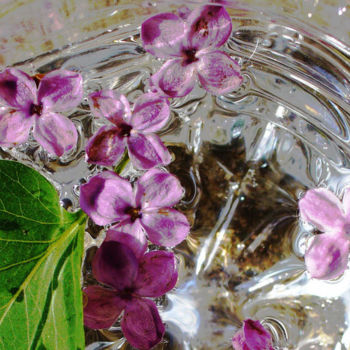 Φωτογραφία με τίτλο "Water Flower" από Catherine Demorand, Αυθεντικά έργα τέχνης, Ψηφιακή φωτογραφία