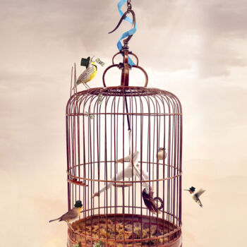 Digital Arts με τίτλο "Femme en cage" από Olivier Gros, Αυθεντικά έργα τέχνης, Φωτογραφία Μοντάζ