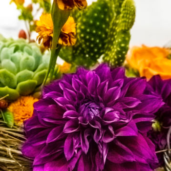 Fotografie getiteld "Purple Dahlia" door Silvia Marcoschamer, Origineel Kunstwerk, Digitale fotografie