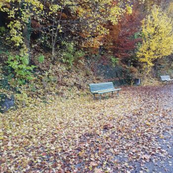 Φωτογραφία με τίτλο "Feuilles d'automne…" από Carlos Vieira, Αυθεντικά έργα τέχνης, Μη χειραγωγημένη φωτογραφία