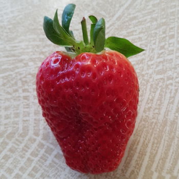 Photography titled "Fraise 2017 (ref.19…" by Carlos Vieira, Original Artwork, Non Manipulated Photography