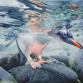 Painting titled "Cautious gentoo pen…" by Chrisart.Aquarelle, Original Artwork, Watercolor